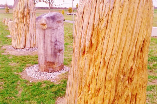 WOODHENGE